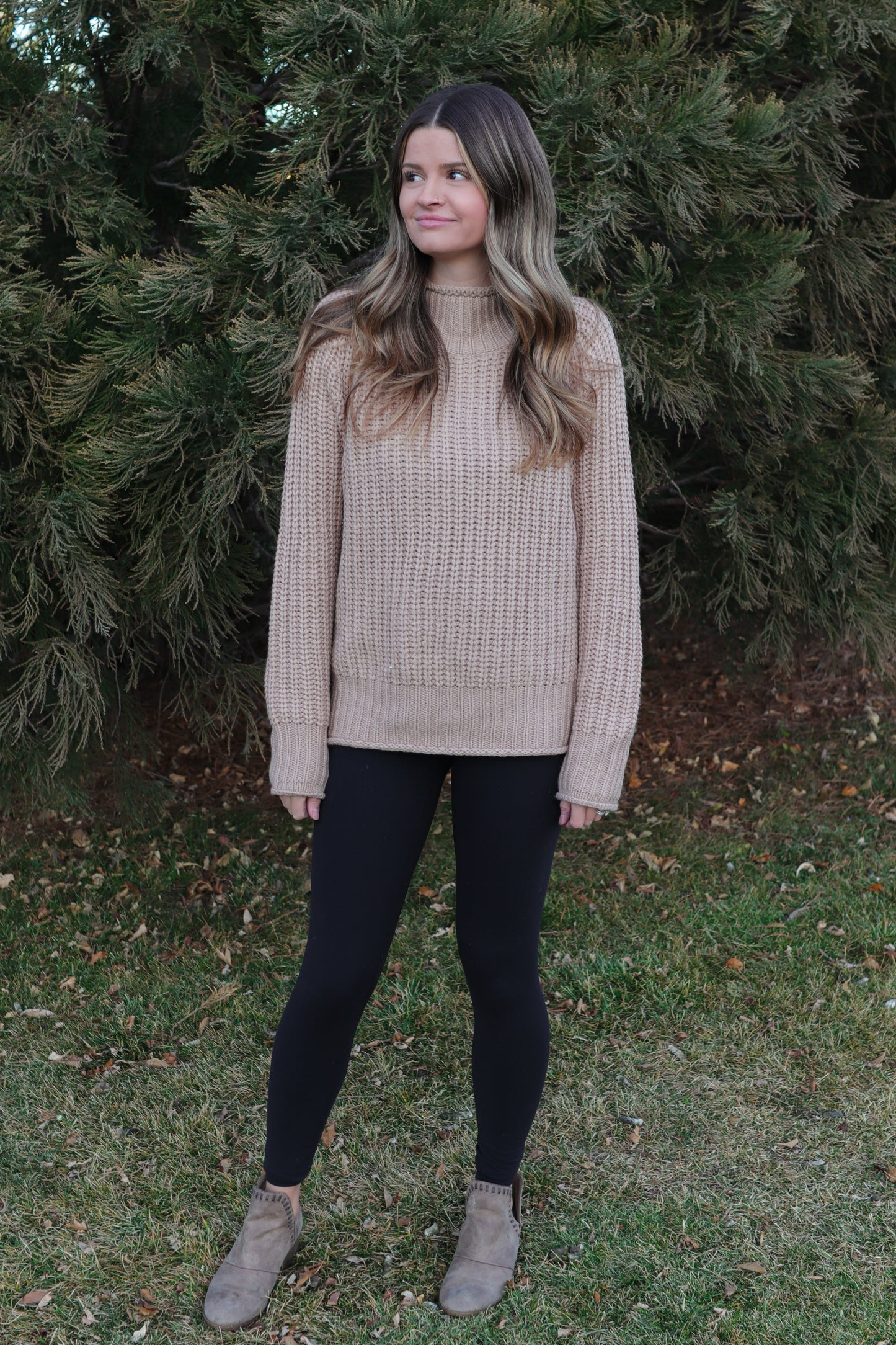 Oat Turtleneck Sweater