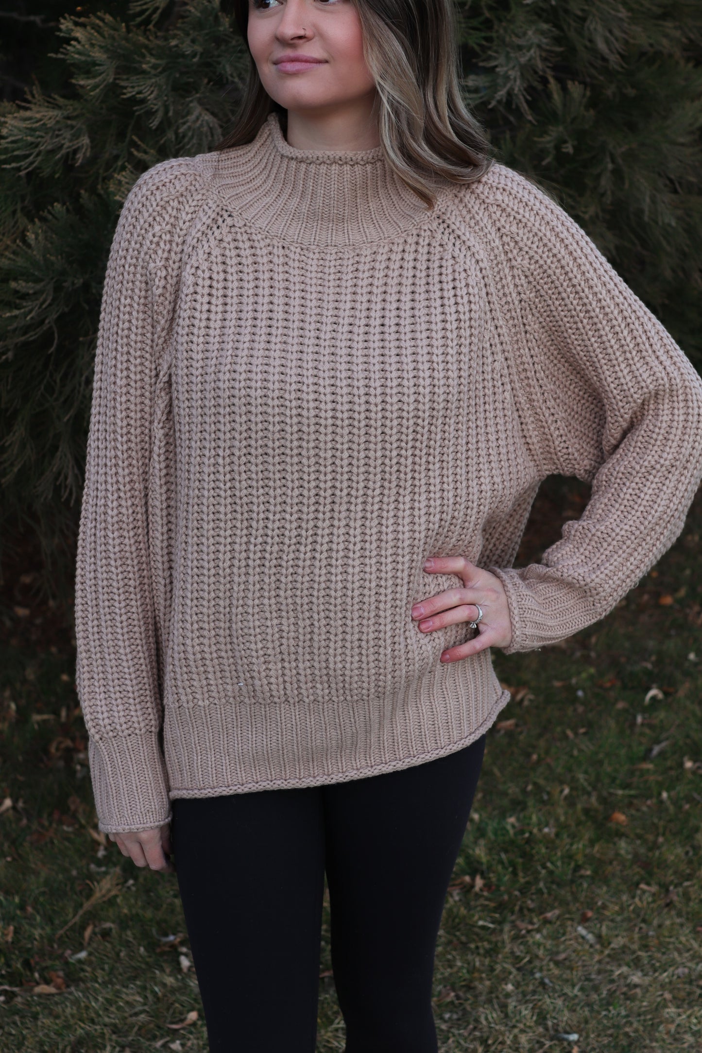 Oat Turtleneck Sweater